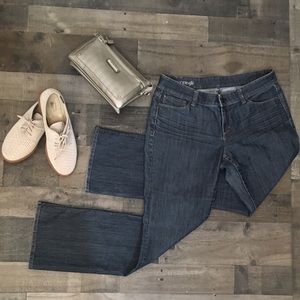 Ann Taylor Modern Fit Jeans 10p petite